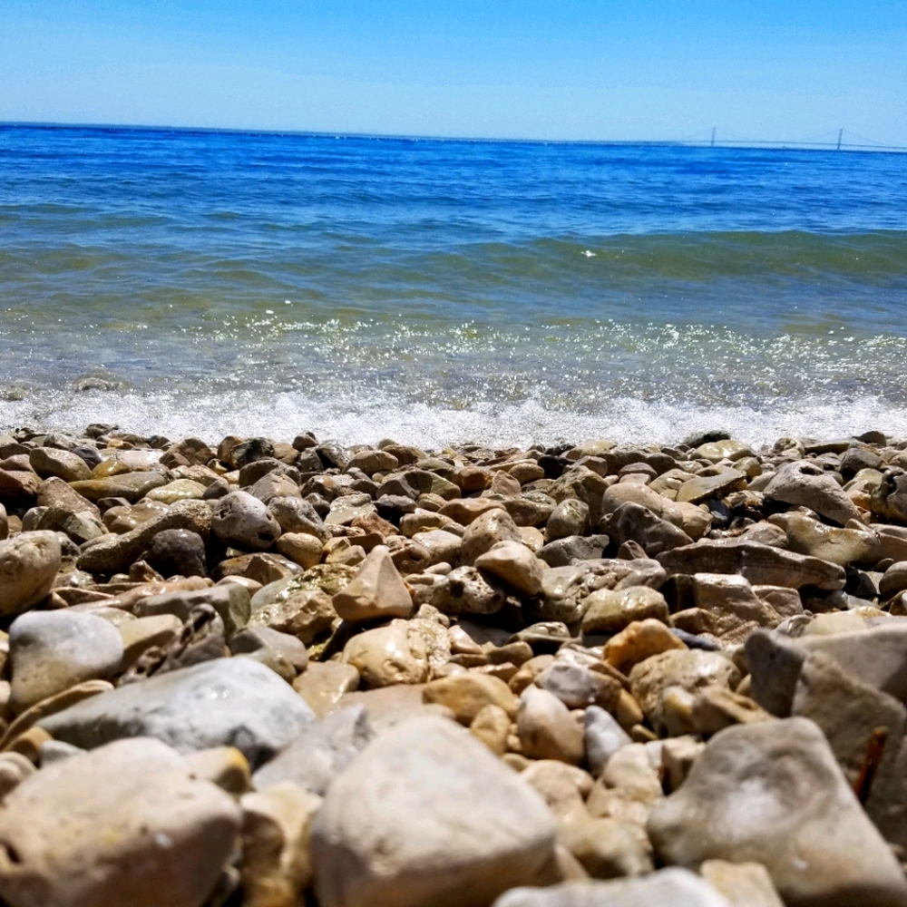 Meet your Posher, Susie